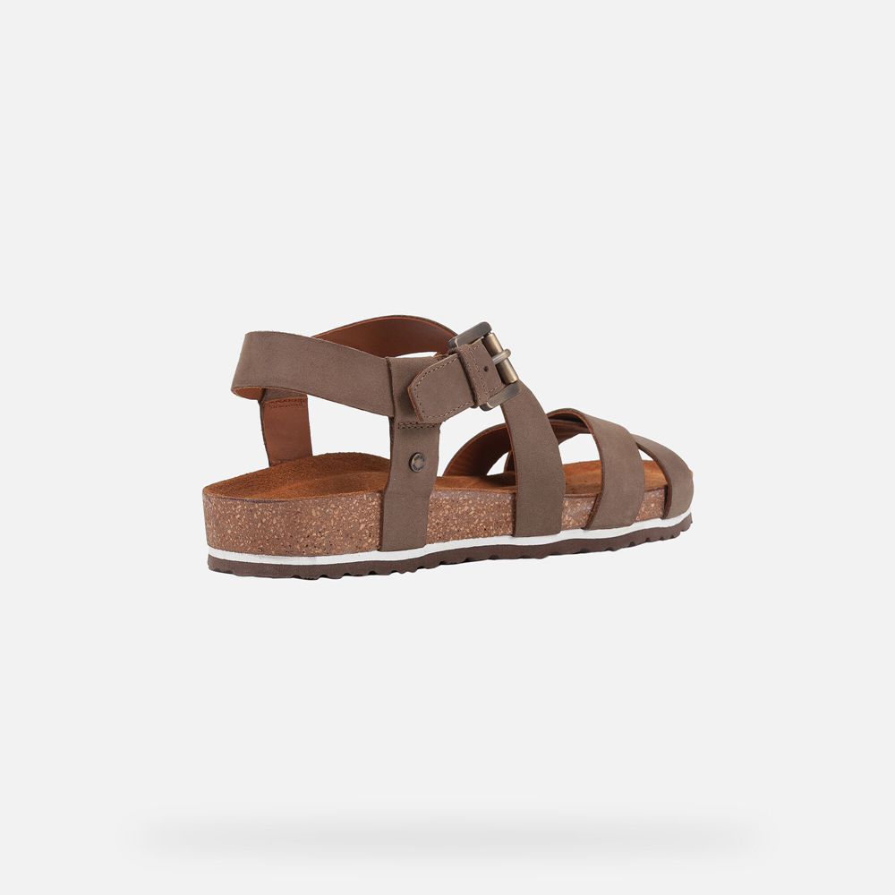 Geox Sandals Dark Brown Spensierata - Geox Womens Shoes - LVQIXT163